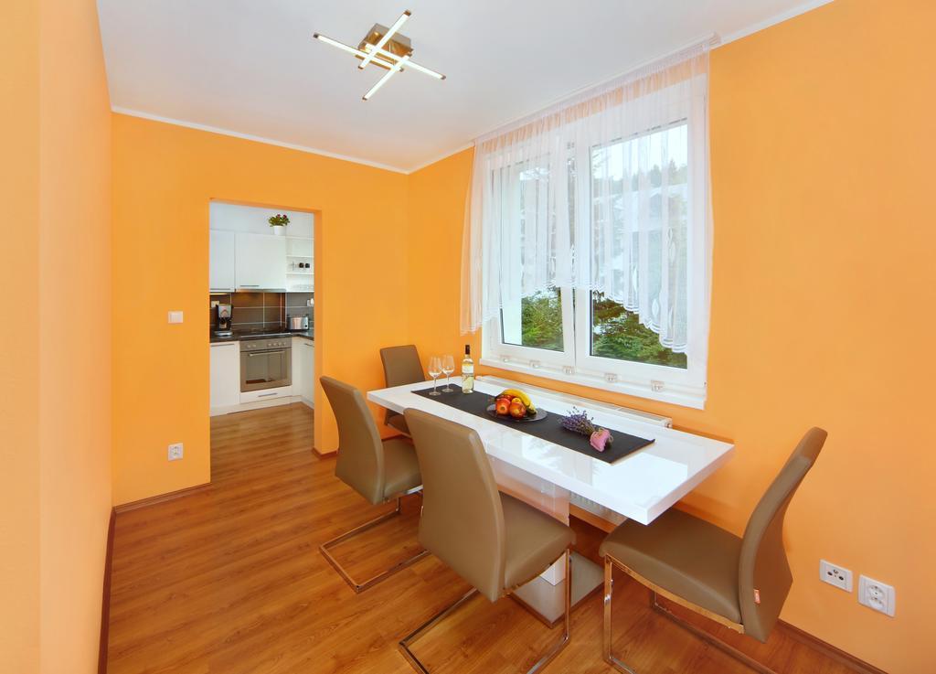 Apartment 91/65 Špindlerŭv Mlýn Oda fotoğraf